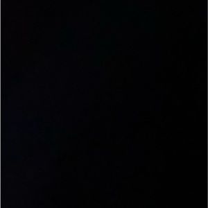 Meet your Posher, Bella